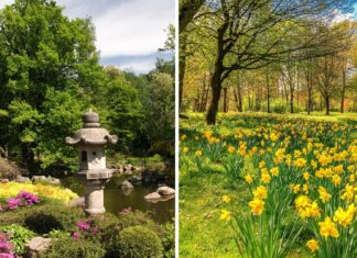 Co będzie otwarte w Święta Wielkanocne we Wrocławiu? Atrakcje na Wielkanoc 2024