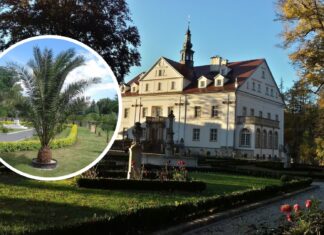 Pałac w Ciechanowicach: klejnot o bogatej historii i niezwykłych freskach, zwany dolnośląskim Wawelem
