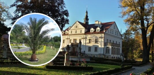 Pałac w Ciechanowicach: klejnot o bogatej historii i niezwykłych freskach, zwany dolnośląskim Wawelem