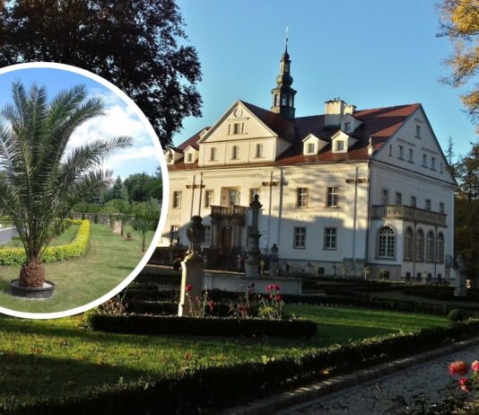 Pałac w Ciechanowicach: klejnot o bogatej historii i niezwykłych freskach, zwany dolnośląskim Wawelem