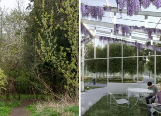 Wrocław: Ogrody Szczytnickie powiększą Park Szczytnicki