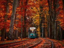 Jesień we Wrocławiu. 7 atrakcji w mieście, które są dostępne tylko do końca października!