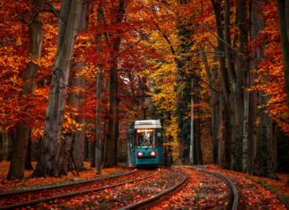 Jesień we Wrocławiu. 7 atrakcji w mieście, które są dostępne tylko do końca października!