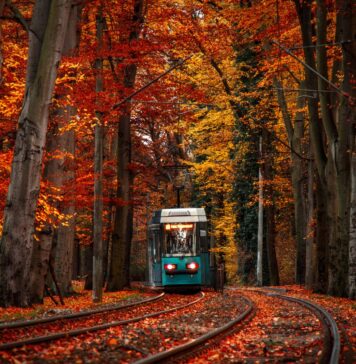 Jesień we Wrocławiu. 7 atrakcji w mieście, które są dostępne tylko do końca października!