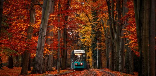 Jesień we Wrocławiu. 7 atrakcji w mieście, które są dostępne tylko do końca października!