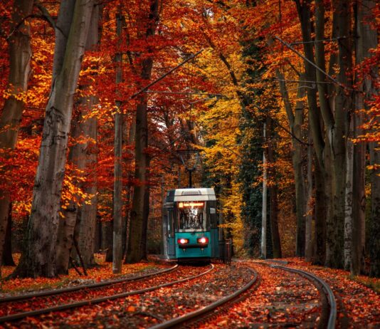 Jesień we Wrocławiu. 7 atrakcji w mieście, które są dostępne tylko do końca października!