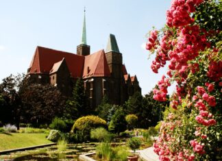 5 świetnych rzeczy, które możesz zrobić w marcu we Wrocławiu