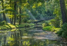 Gdzie na spacer we Wrocławiu? Na zdjęciu Park Szczytnicki we Wrocławiu
