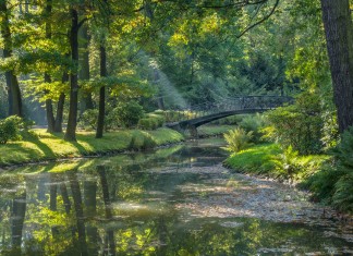Gdzie na spacer we Wrocławiu? Na zdjęciu Park Szczytnicki we Wrocławiu