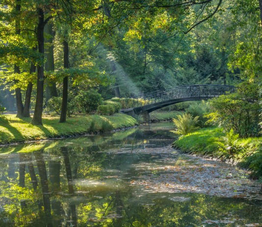 Gdzie na spacer we Wrocławiu? Na zdjęciu Park Szczytnicki we Wrocławiu
