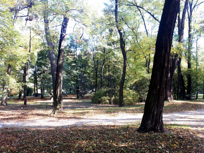 Park Zachodni