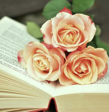 Jakie książki podarować na prezent?