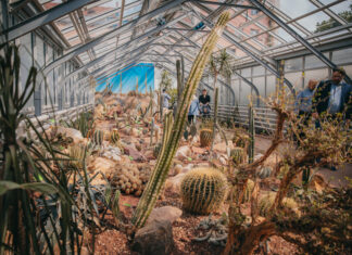 Wrocław: Szklarnie w Ogrodzie Botanicznym UWr już otwarte!