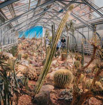 Wrocław: Szklarnie w Ogrodzie Botanicznym UWr już otwarte!