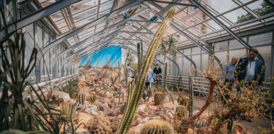 Wrocław: Szklarnie w Ogrodzie Botanicznym UWr już otwarte!
