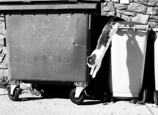 Jak pozbyć się niewygodnych odpadów? Wynajem kontenerów na gruz