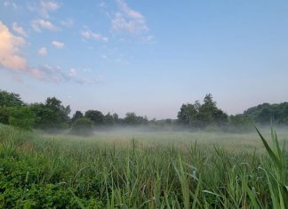 Zielone tereny na Kuźnikach nie zostaną sprzedane! Jest decyzja Prezydenta