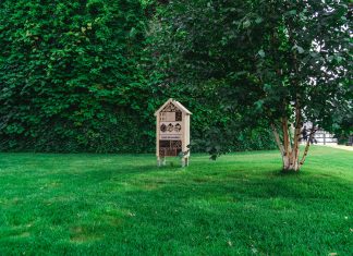 Przy Joannitów powstały dwa nowe hotele… dla owadów!