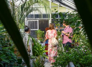 Ekoinicjatywy z Galerią Dominikańską – kwieciste rowery i wsparcie dla zielonych projektów