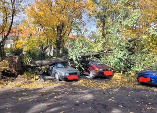 UWAGA! Ostrzeżenie meteorologiczne – silny wiatr we Wrocławiu!