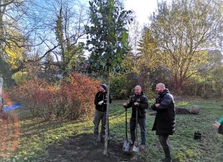 Posadzono 300 nowych drzew na ul. Granicznej!