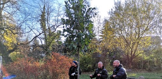 Posadzono 300 nowych drzew na ul. Granicznej!