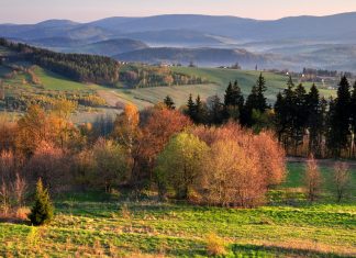 5 miejsc w Górach Sowich, które musisz odwiedzić latem!