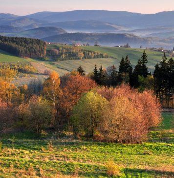 5 miejsc w Górach Sowich, które musisz odwiedzić latem!