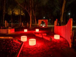 Wrocław: Na Tarnogaju powstał plac zabaw, który świeci w ciemności! Leśne druchy – Tarnoduchy
