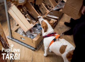 PupiLove Targi we Wrocławiu. Zabierz psa lub kota na zakupy!