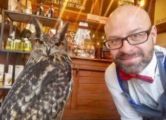 Wrocławską pizzerię odwiedzają sowy!