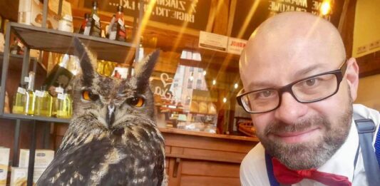 Wrocławską pizzerię odwiedzają sowy!