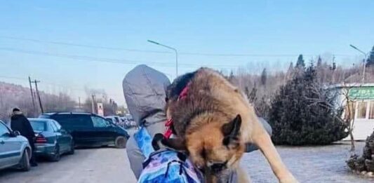 Ta historia porusza serca. Ukrainiec niósł swojego chorego psa na plecach 15 km do polskiej granicy