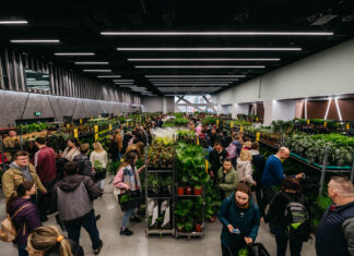 Wrocław: Największy Festiwal Roślin już w weekend! Ceny już od 5 zł