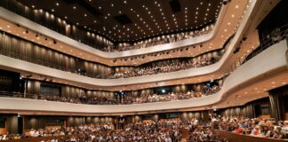 Lato w NFM nie zwalnia. Koncerty, kino organowe i muzyczna podróż przez wieki