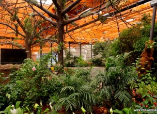 Kup bilet do ZOO Wrocław raz, wejdź dwa razy! Promocja na ferie