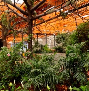 Kup bilet do ZOO Wrocław raz, wejdź dwa razy! Promocja na ferie