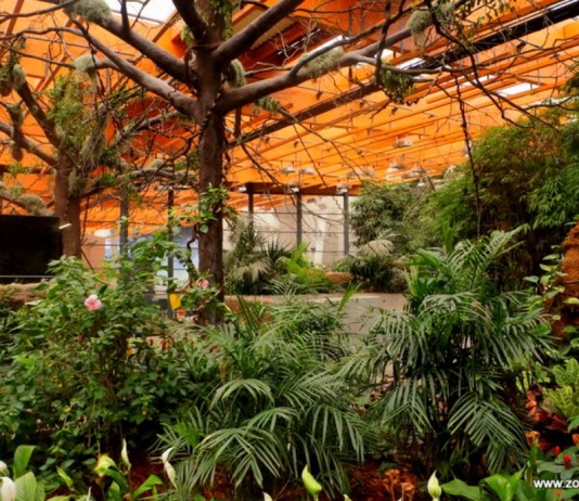 Kup bilet do ZOO Wrocław raz, wejdź dwa razy! Promocja na ferie