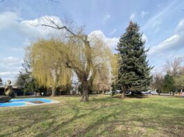 Na terenie byłego Hutmenu powstanie ISKRA – strefa relaksu i rozrywki dla mieszkańców Wrocławia