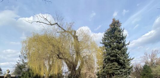 Na terenie byłego Hutmenu powstanie ISKRA – strefa relaksu i rozrywki dla mieszkańców Wrocławia