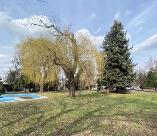 Na terenie byłego Hutmenu powstanie ISKRA – strefa relaksu i rozrywki dla mieszkańców Wrocławia