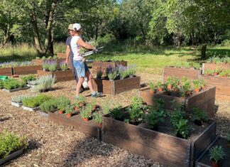 W Parku Skowronim we Wrocławiu powstał ogród ziołowy!