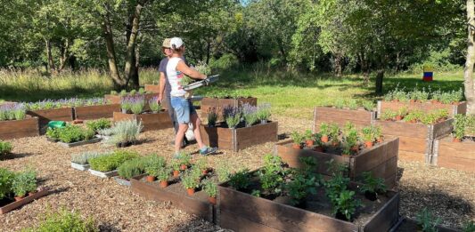 W Parku Skowronim we Wrocławiu powstał ogród ziołowy!