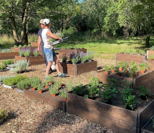W Parku Skowronim we Wrocławiu powstał ogród ziołowy!