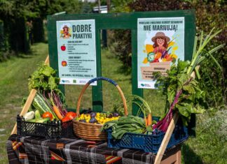 Wrocław nie marnuje: Na Rodzinnych Ogródkach Działkowych stanęły stoły do dzielenia się nadwyżką plonów