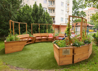 We Wrocławiu powstał nowy piękny ogród – wyjątkowa współpraca studentów i seniorów