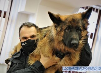 Policjanci szkolili się jak udzielać pierwszej pomocy poszkodowanym czworonożnym funkcjonariuszom