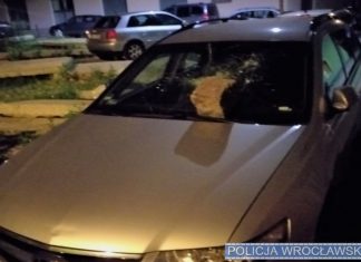 Rzucał cegłówką w samochody. Szybko wpadł w ręce wrocławskiej policji
