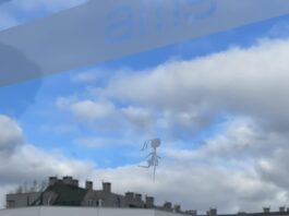 Tajemnicze wróżki na przystankach, wielką zagadką Wrocławia. Kto za tym stoi? Co oznaczają?