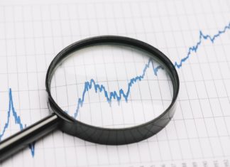 Jak wyglądają dane na temat firm na Dolnym Śląsku i woj. opolskim?